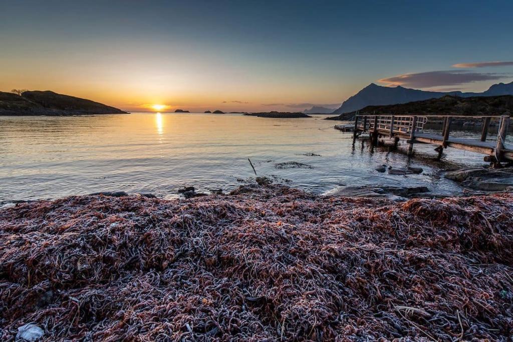 Lofoten - New Apartment, Close To Airport. Leknes Exterior foto